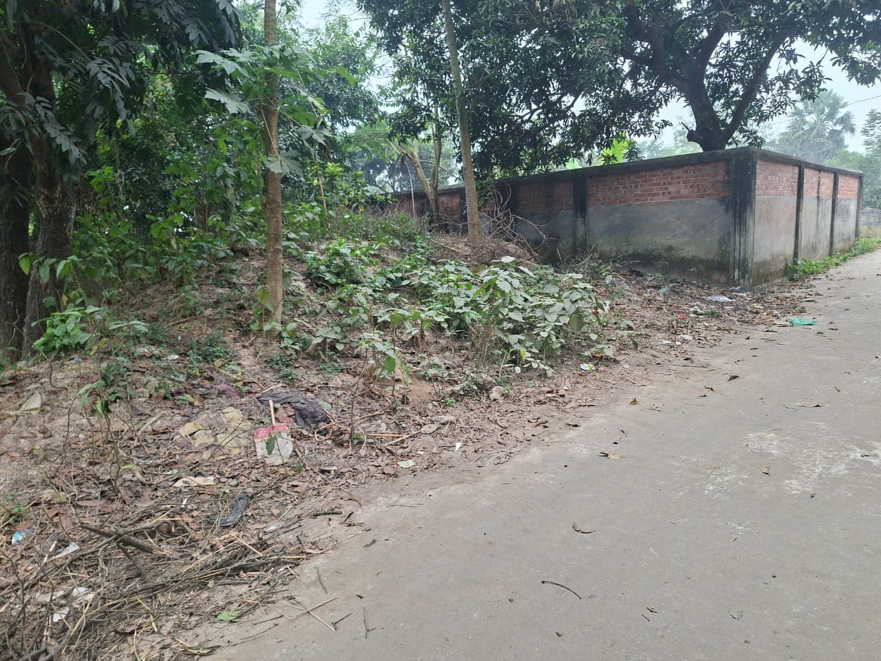 WhatsApp Image 2025-12-29 at 8.43.32 AM