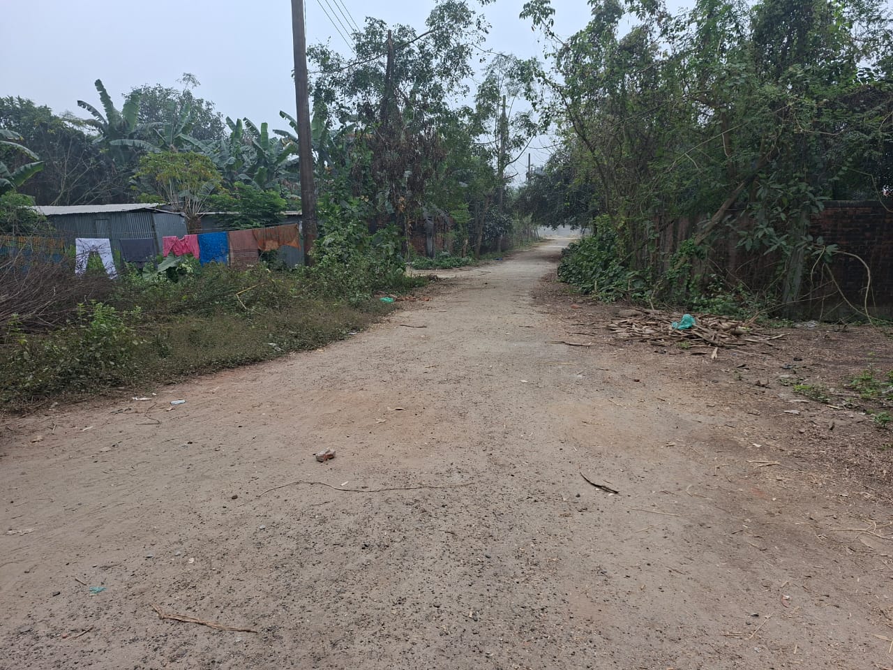 WhatsApp Image 2025-12-29 at 8.43.37 AM