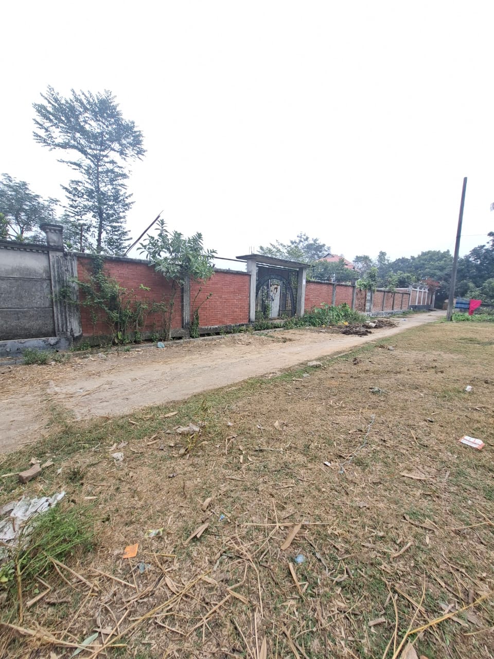 WhatsApp Image 2025-12-29 at 8.44.49 AM (1)