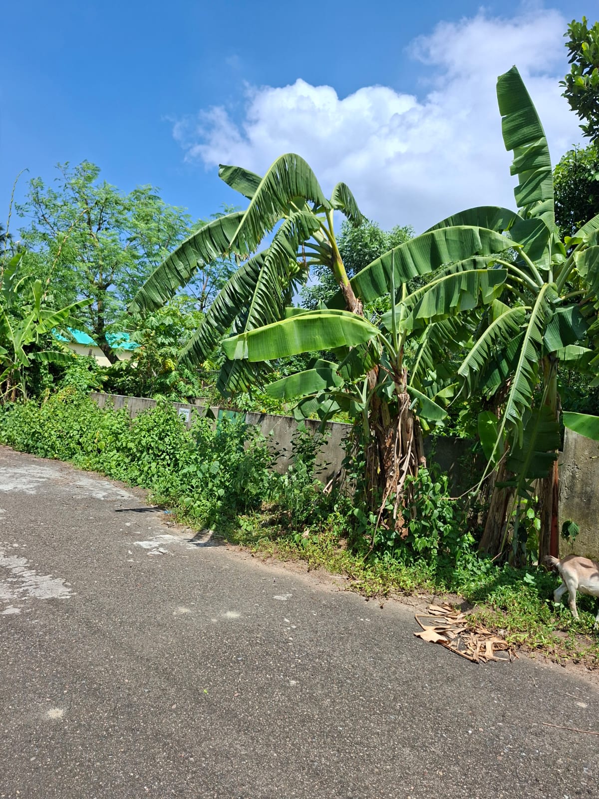 WhatsApp Image 2025-12-30 at 3.53.02 PM