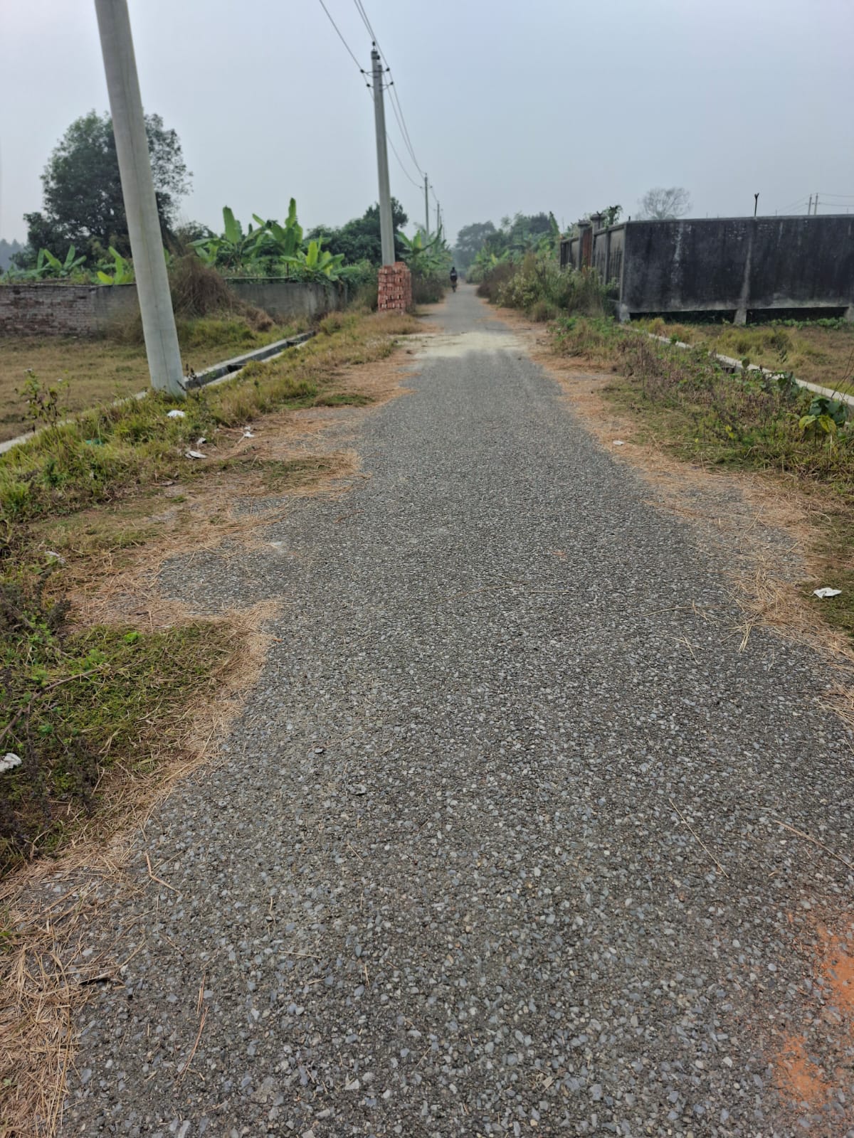 WhatsApp Image 2025-12-31 at 12.13.37 PM