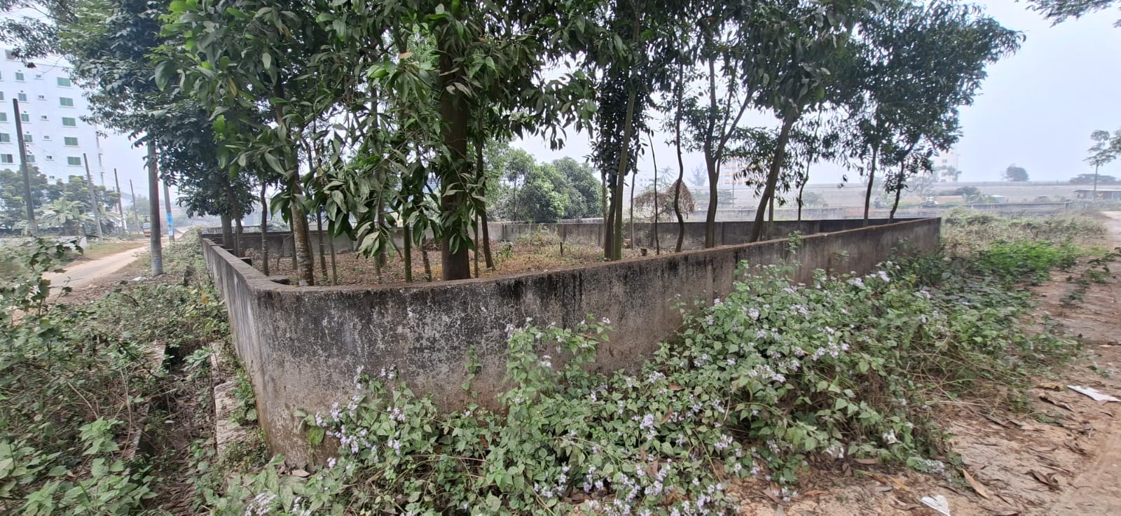 WhatsApp Image 2025-12-31 at 2.06.20 PM