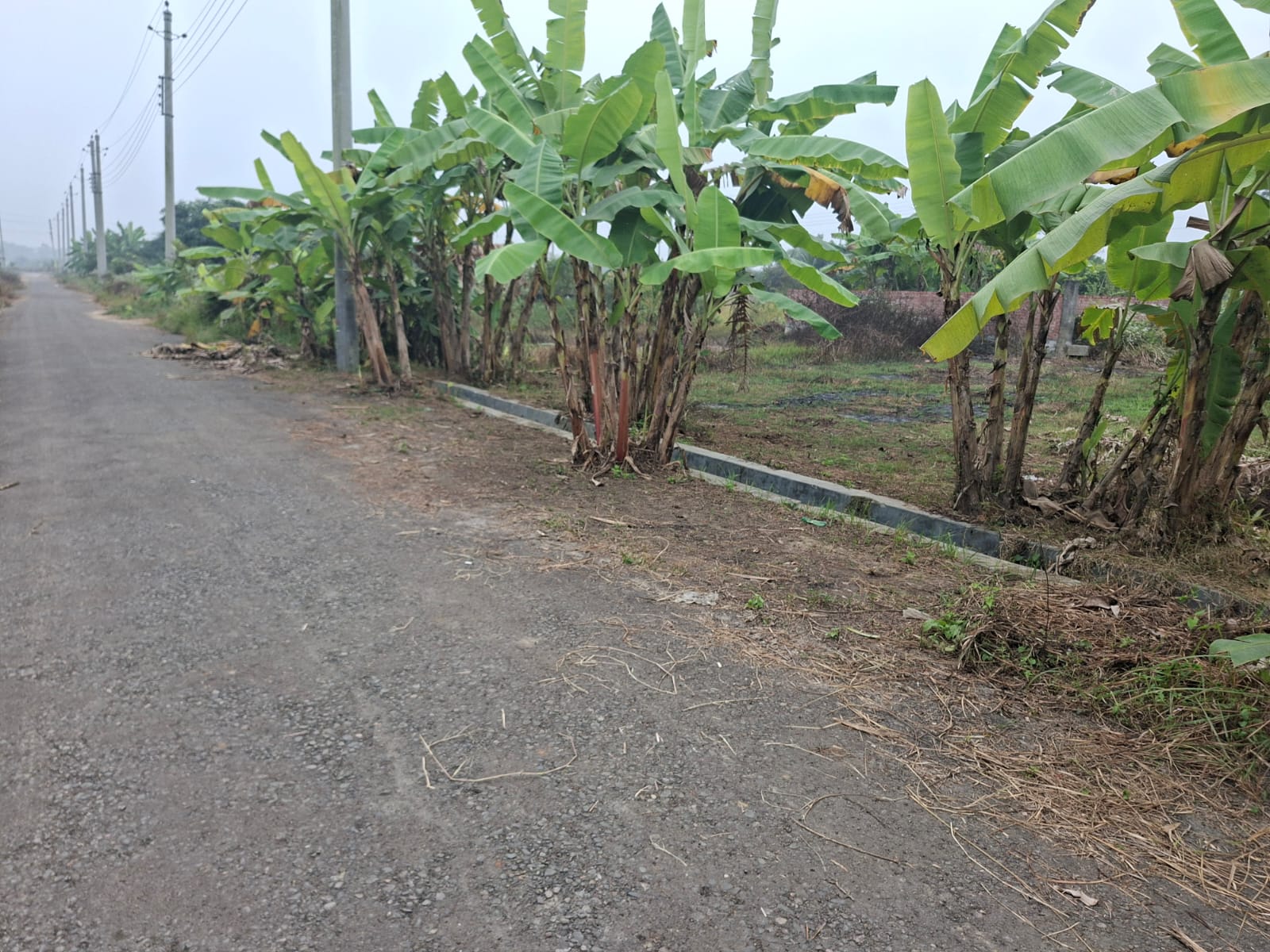 WhatsApp Image 2025-12-31 at 2.07.50 PM (1)