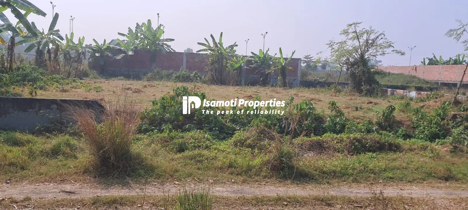 WhatsApp Image 2026-01-21 at 4.04.25 PM