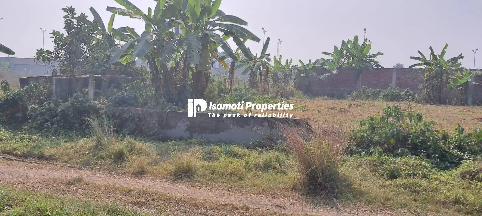 WhatsApp Image 2026-01-21 at 4.04.26 PM (1)