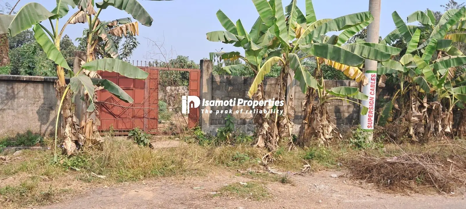 WhatsApp Image 2026-01-21 at 5.16.41 PM (1)