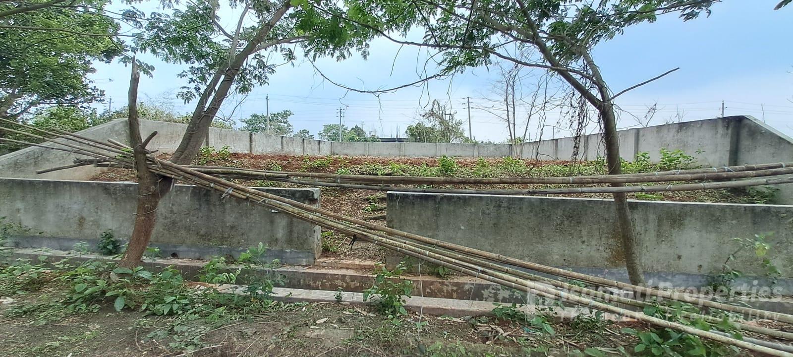 WhatsApp Image 2026-04-01 at 3.58.48 PM