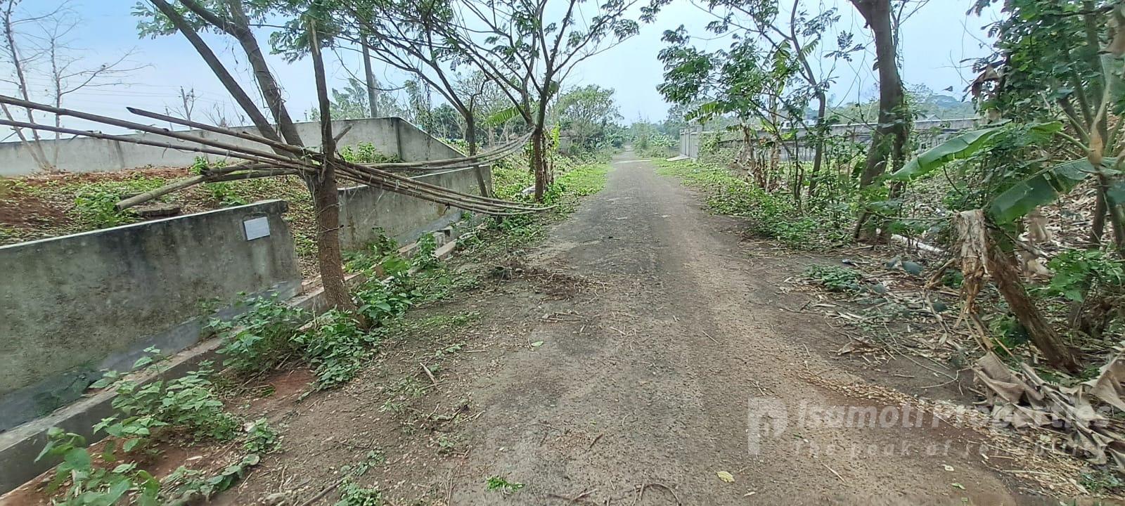 WhatsApp Image 2026-04-01 at 3.58.49 PM